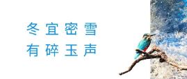 尊龙凯时人生就是搏宠物
